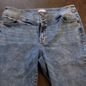 Lane Bryant size 24 Capri